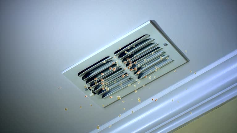 Best Air Duct Sanitizing Services  in Sumner, IA